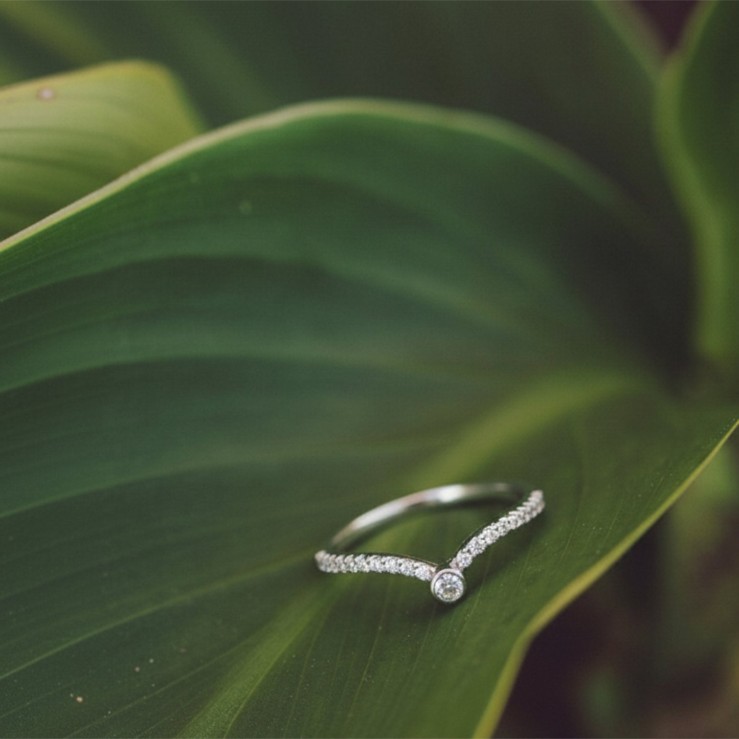 lumora ring sterling silver in timeless sparkle