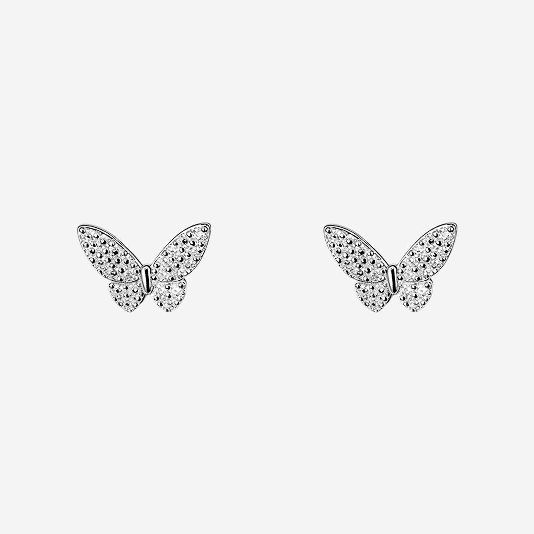 silverflutter glow women`s earrings