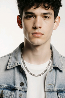 Classic Silver Link Men`s chain
