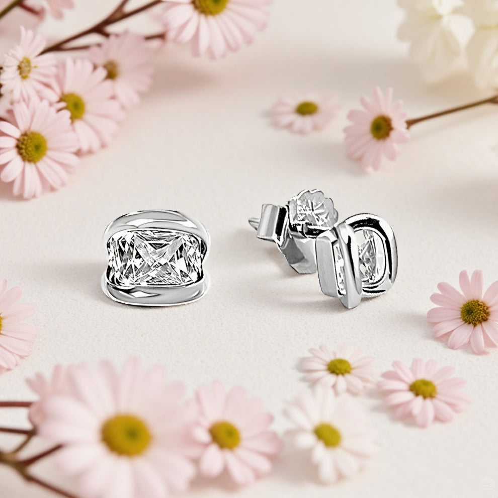 silver bezel women`s earrings