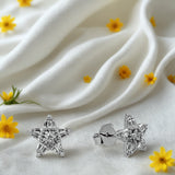 Silver Star Spark Women`s earrings