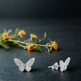 Silverflutter Glow women`s earrings