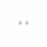 Pearl Pendant with earrings in silver