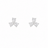 Pear & Round Women`s Earrings in silver