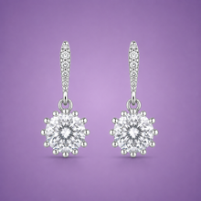 Radiant drop women`s Earrings in silver