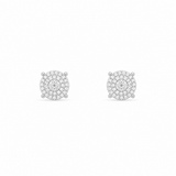 Silver Pavora Women`s Earrings