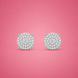 Silver Pavora Women`s Earrings