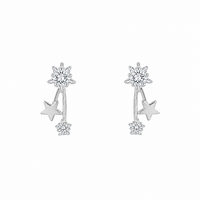 Bloom Women`s Earrings in Silver
