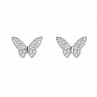 Silverflutter Glow women`s earrings