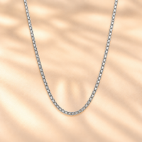 Silver Radiance Link Necklace