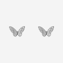 Silverflutter Glow women`s earrings