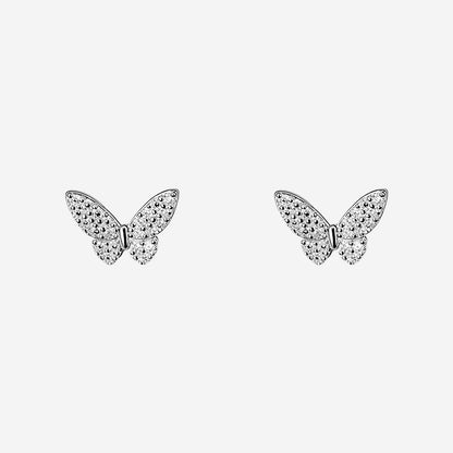 Silverflutter Glow women`s earrings