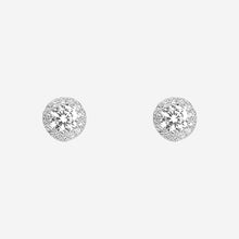 Silver Charmline Spark Women`s earrings