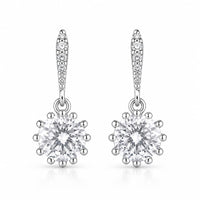 Radiant drop women`s Earrings in silver