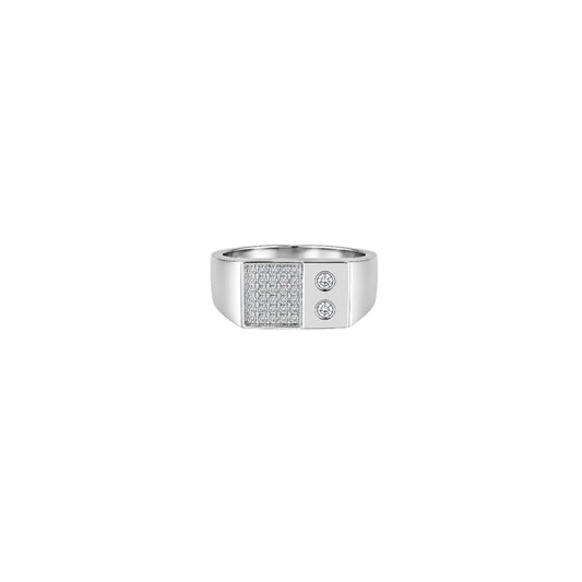Silver Dual Stone Men`s Ring
