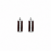 Elegant Silver Vertical Gem Women`s earrings