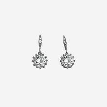 Pair of silver earrings