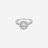 Halo Grace Women`s Ring in Silver